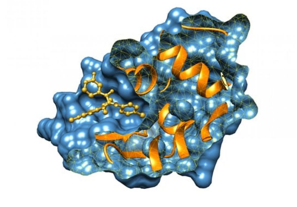 ligandprotieninteractions3